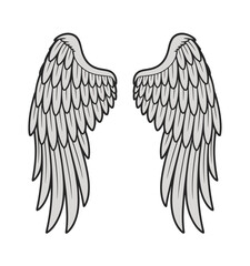 Angel Wings Illustration vector © Priyom