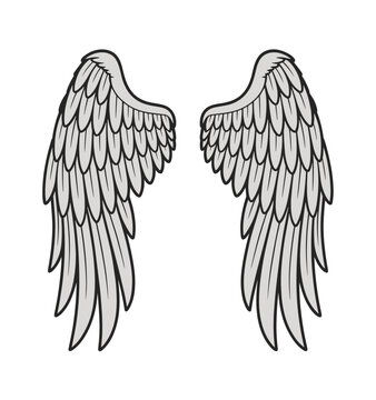 Angel Wings Illustration vector