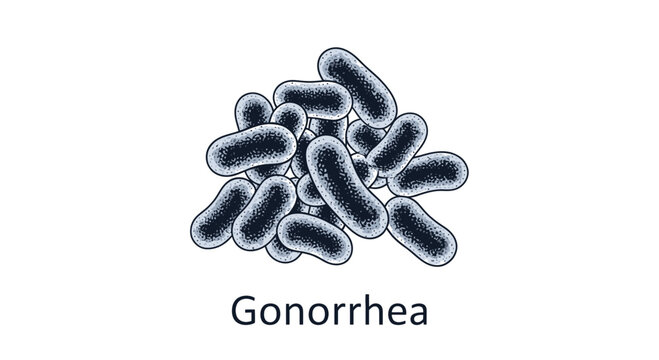 Neisseria gonorrhoeae bacteria illustration, medical diagram of gonorrhea causative agent.
