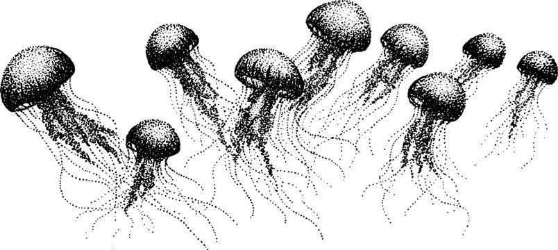 Black and white stipple jellyfish illustration with floating tentacles for ocean-themed designs