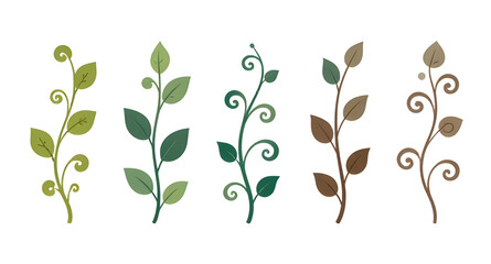 vines, vine, plant, creeper, climber, foliage, leaf, leaves, branch, stem, swirl, curve, curling, twirl, flourish, decorative, ornament, pattern, design, botanical, nature, greenery, green, organic, n © mrpixel