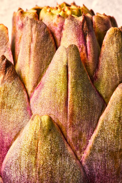 Artichoke close up