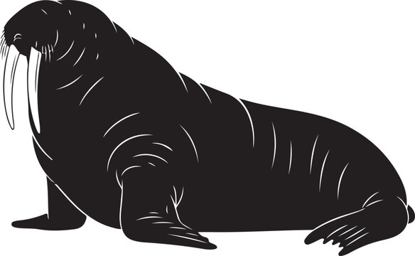Vector walrus illustration, black silhouette on white background