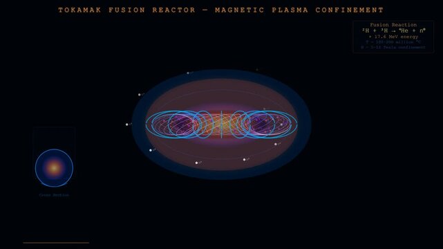 Tokamak