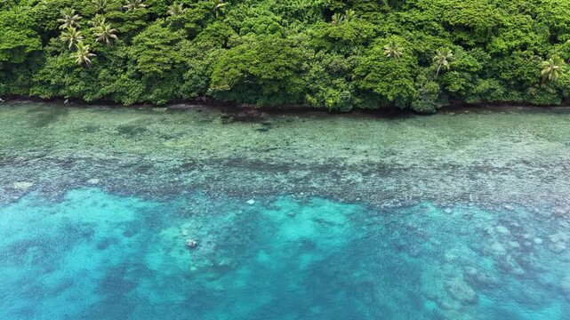 Aerial view of corals growing on a shallow, fringing reef in Fiji. This scenic region harbors high marine biodiversity and is a popular vacation destination for scuba divers and snorkelers.