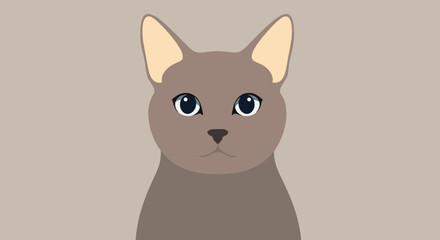 Cute brown cat face portrait. © Hani