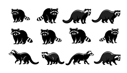 Obraz premium A collection of raccoons in various poses on a white background