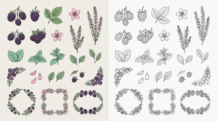 Collection of hand-drawn botanical illustrations featuring blackberries, mint leaves, and floral elements in both color and outline styles, including decorative frames and corner accents. © renender