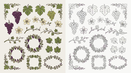 Collection of decorative elements featuring grapevines, leaves, grapes, and floral motifs in both color and outline styles. © renender