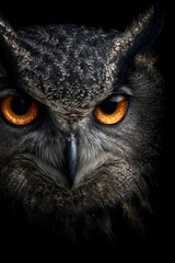 Obraz premium Intense close-up of an owl face with glowing amber eyes in dark setting