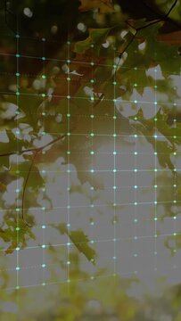 Vertical video: Neon cyan waveform starting left spiking, dipping across grid, showing canopy pulse