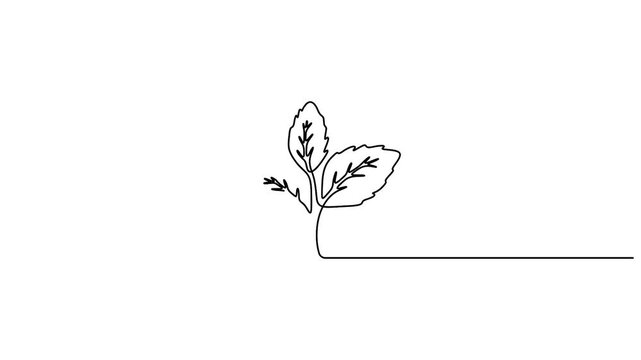 Animated vector illustration minimalist continuous line drawing of a small plant with three leaves and a stem