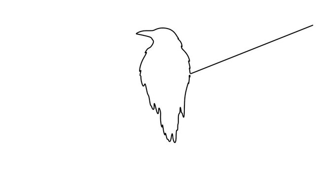 Self animated minimalist, continuous single line drawing of a crow vector illustration