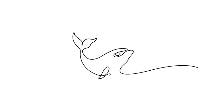 Self animated minimalist single line drawing of a whale, concepts for tattoos, logos, or modern art prints