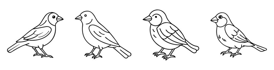 Obraz premium Four outlined bird drawings representing different species in a row