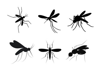 Mosquito silhouettes arranged in formation, flying insect vector collection isolated on white © Umme