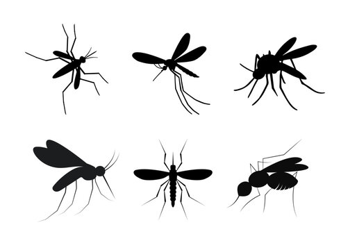 Mosquito silhouettes arranged in formation, flying insect vector collection isolated on white