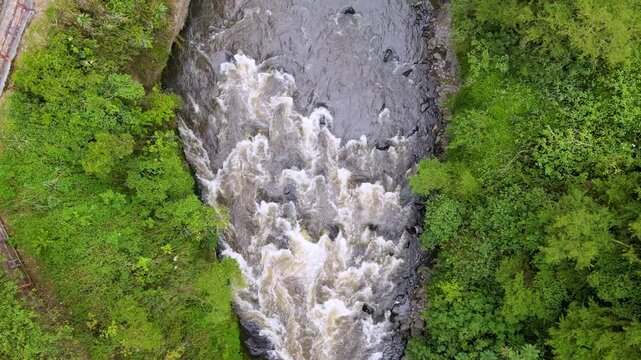 Top-down drone shot of turbulent river rapids cutting through dense green vegetation with visible rocky banks and a narrow stone path and railing along the left side.