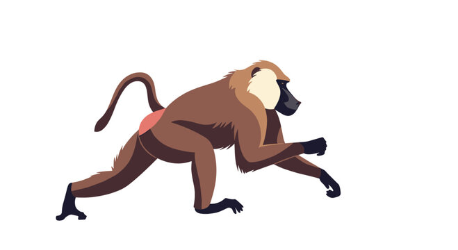 Wild baboon walking across a plain white background shown from a side profile with brown fur and distinct facial features.