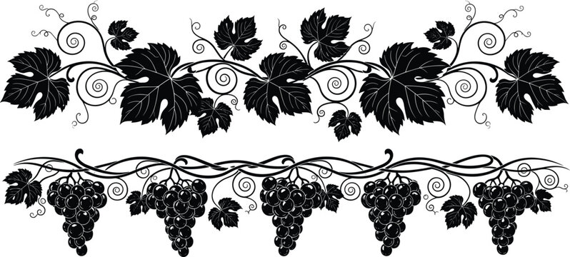 Elegant grapevine border collection with leaves and grape clusters, black ornamental vector illustration isolated for wine design, vintage decoration, and botanical pattern use