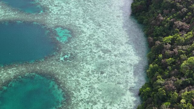 Aerial View of Tropical Coral Reef and Lush Island in Palau