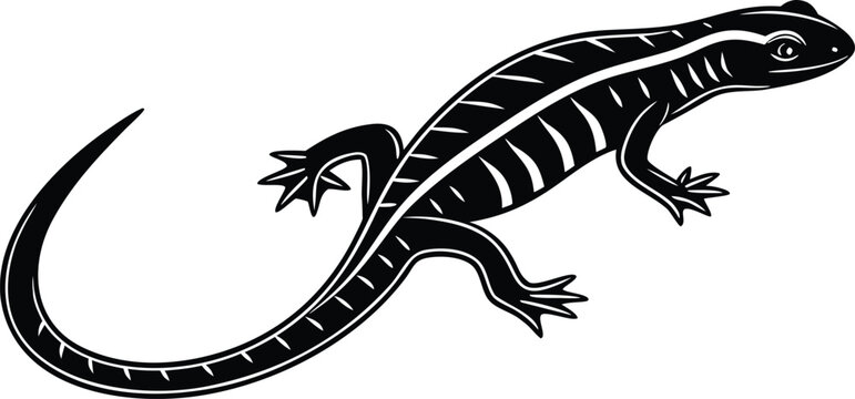 Stylized Black and White Salamander or Lizard Vector Illustration with Striped Body and Tail for Nature and Wildlife Designs