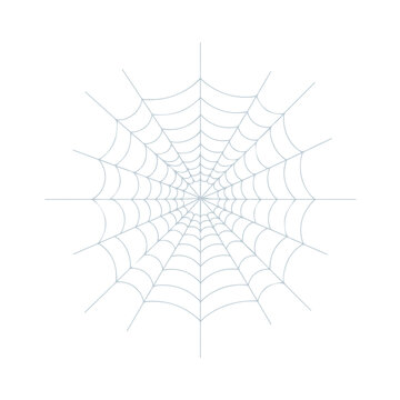 Realistic spider web vector illustration set isolated on transparent background. Creepy cobweb corner decoration for Halloween design, spooky gothic gothic aesthetic, hand-drawn net pattern graphic.