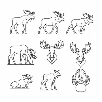 Set of black line art moose icons including bull moose standing, walking, running, grazing, and lying down, plus moose heads with antlers, a calf, and a hoof print track on white.