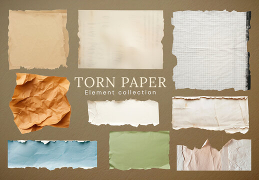 Torn Paper Texture Collection Design Set