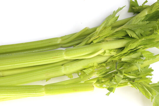 Fresh celery isolated on white background