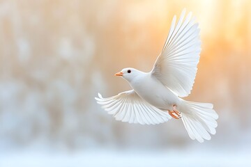 Fototapeta premium White Bird in Flight with Outstretched Wings Against a Soft, Glowing Background
