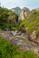 Obraz premium Rugged cliffs rise above a quiet stream