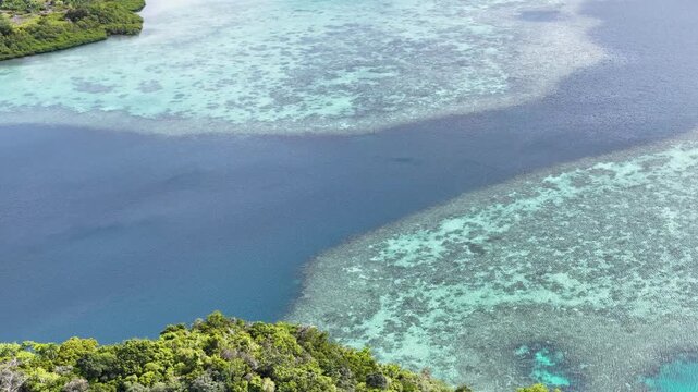 Aerial View of Tropical Coral Reefs and Lush Islands in Palau