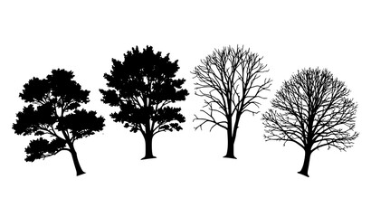 Obraz premium Hand drawn tree silhouette collection with leafy and bare trees illustrating seasonal change and growth stages