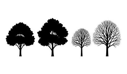 Fototapeta premium Tree silhouette vector set showing seasonal transition with leafy and bare trees isolated on white background