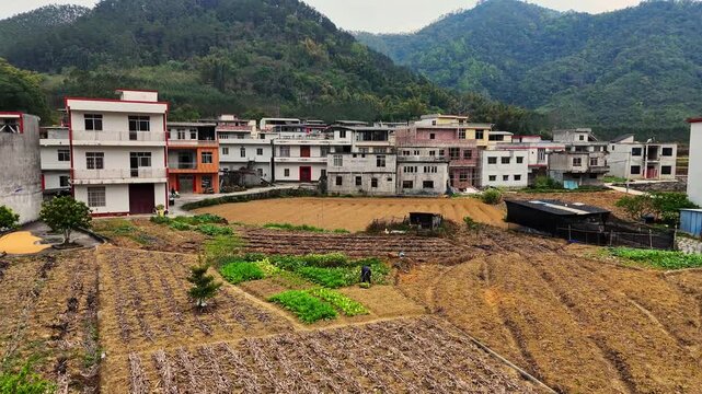  Commercial Footage: Elderly Villager Picking Greens in Rural Garden