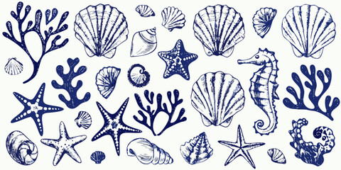 Vintage nautical illustration featuring seashells coral starfish and a seahorse © Rahul