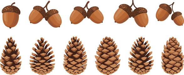 Autumn Forest Nature Collection with Realistic Pinecones and Acorn Clusters for Seasonal Botanical Graphics Winter Forest Backgrounds and Woodsy Landscape Vector Illustration Designs © MstRakha