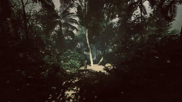 A quiet pathway meanders through a lush jungle filled with vibrant greenery. Sunlight filters through the branches, creating enchanting patterns on the ground.