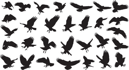 Fototapeta premium flock of hunting birds in flight vector illustration