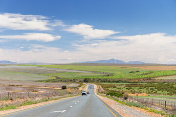 Naklejka premium Asphalt road in South Africa surrounded by fields