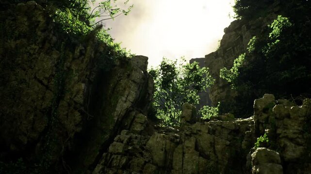 Lush cliff opening illuminated by sunlight, verdant foliage and hanging roots catch warm rays, textured rock and soft shadows create serene secluded pocket