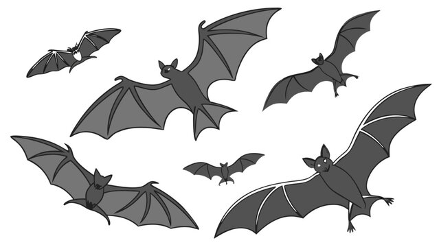 Set of Flying Bats Silhouettes for Halloween Decorations and Spooky Party Design Elements Isolated on White Background for Graphic Projects and Seasonal Holiday Web Graphics