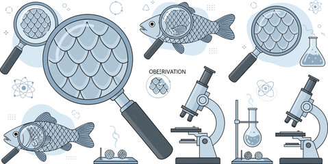 Scientific Observation Vector Set Featuring Fish Scales Under Magnifying Glass, Microscope, Laboratory Equipment, and Biology Research Illustration © MdShakil