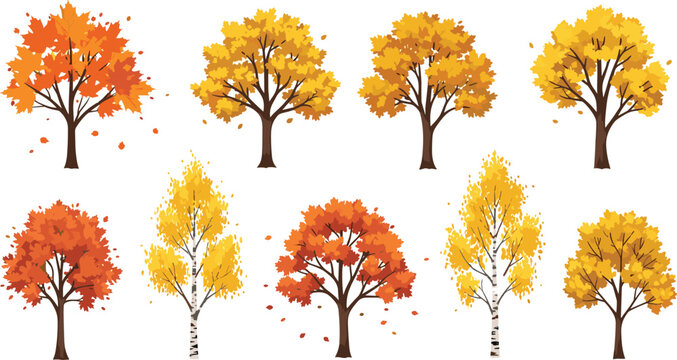 Autumn Tree Vector Collection with Detailed Fall Foliage and Maple Birch Orange Leaf Designs for Seasonal Landscapes Forest Elements and Nature Graphics