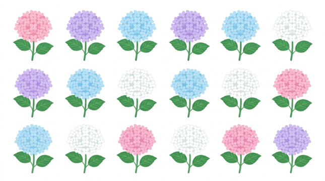 Colorful hydrangea flowers in pink purple blue and white hues with green leaves on white background for decoration