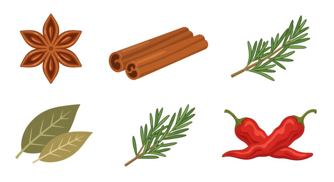 flat lay autumn spices and herbs collection with cinnamon and star anise