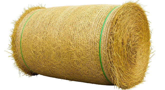 A large round bale of hay with green twine