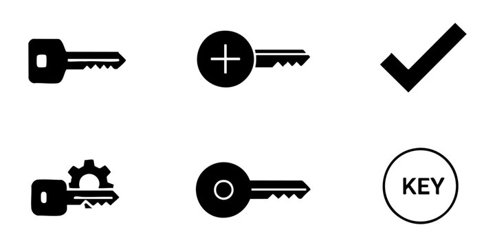 Key, Plus, Gear, and Checkmark Icons Vector Set