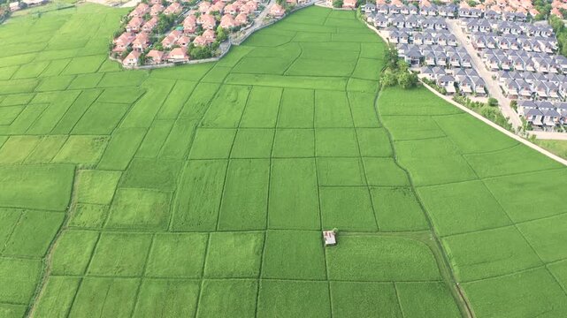 Land and community in Chiang Mai, San Sai district, Shot in March 2021, represent residential living surrounded by green rice field, vacant land. Urban sprawl extending from Chiang Mai city center.